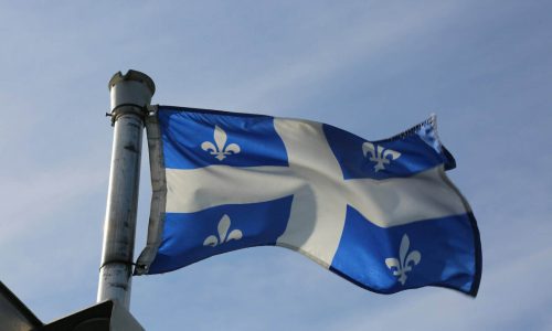 a flag on a pole