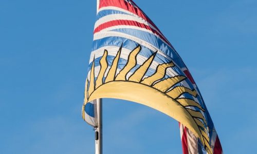 a flag on a pole