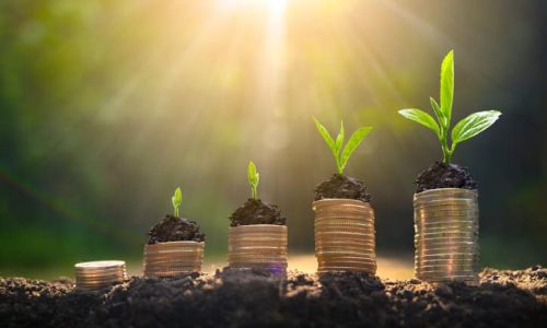 Money growth Saving money. Upper tree coins to shown concept of growing business